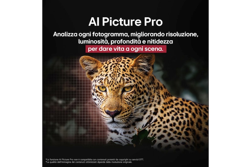 Leopardo nella foresta, dai colori vividi e ricco di dettagli. Il leopardo ha una griglia e una luce che brilla dietro di esso, indicando come LG AI Picture Pro ha apportato notevoli miglioramenti visivi alla risoluzione, alla luminosità, alla profondità e alla chiarezza della scena.